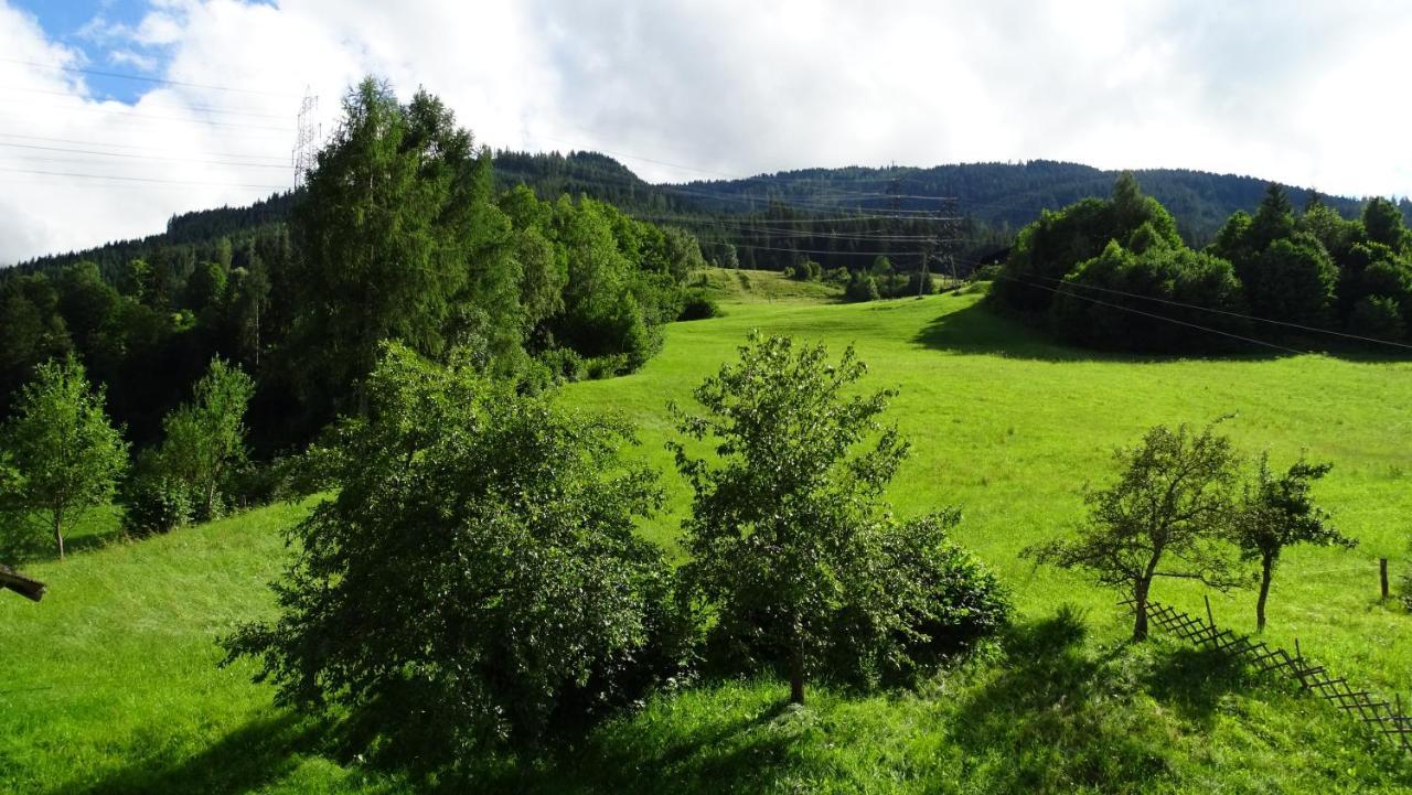 Alpinresort Derbacherhof Niedernsill Bagian luar foto
